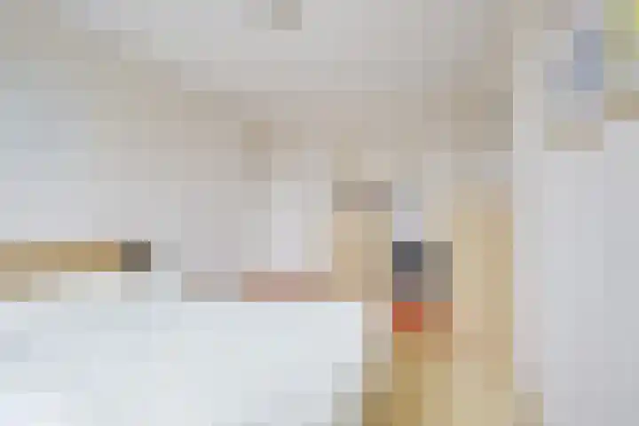 Kaapsehof 19 Doorn thumbnail 20