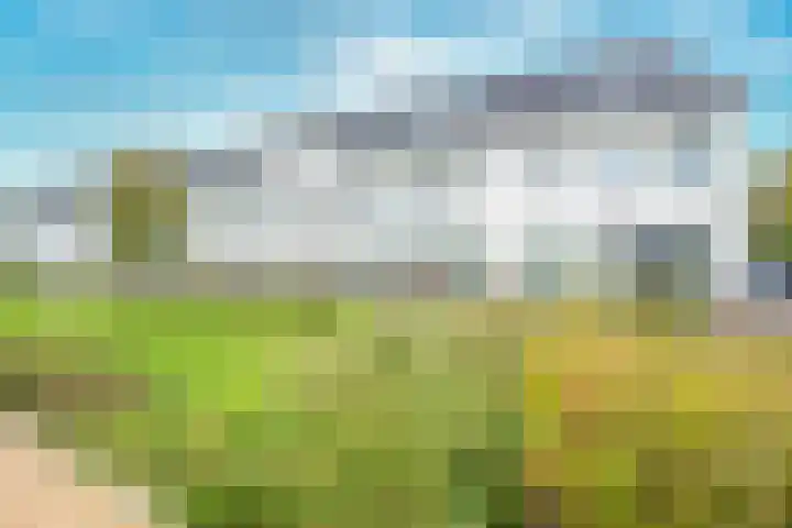 Kaapsehof 19 Doorn thumbnail 34