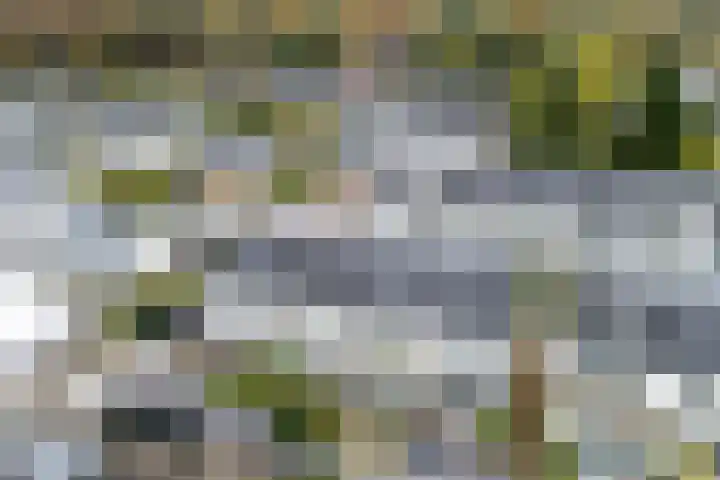 Kaapsehof 19 Doorn thumbnail 39