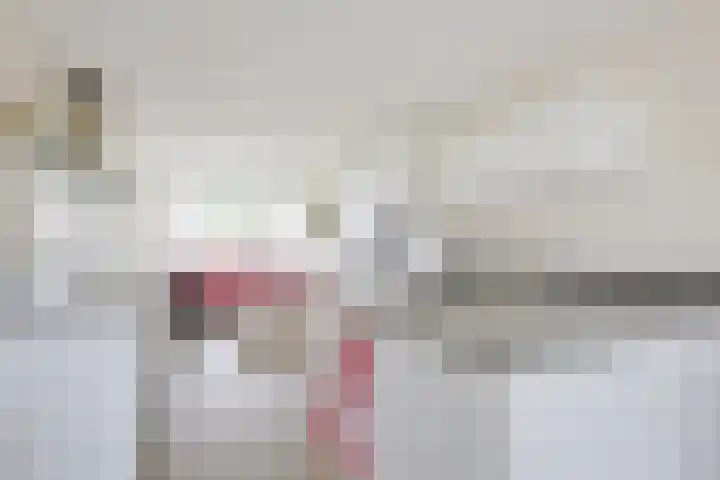 Kaapsehof 19 Doorn thumbnail 8