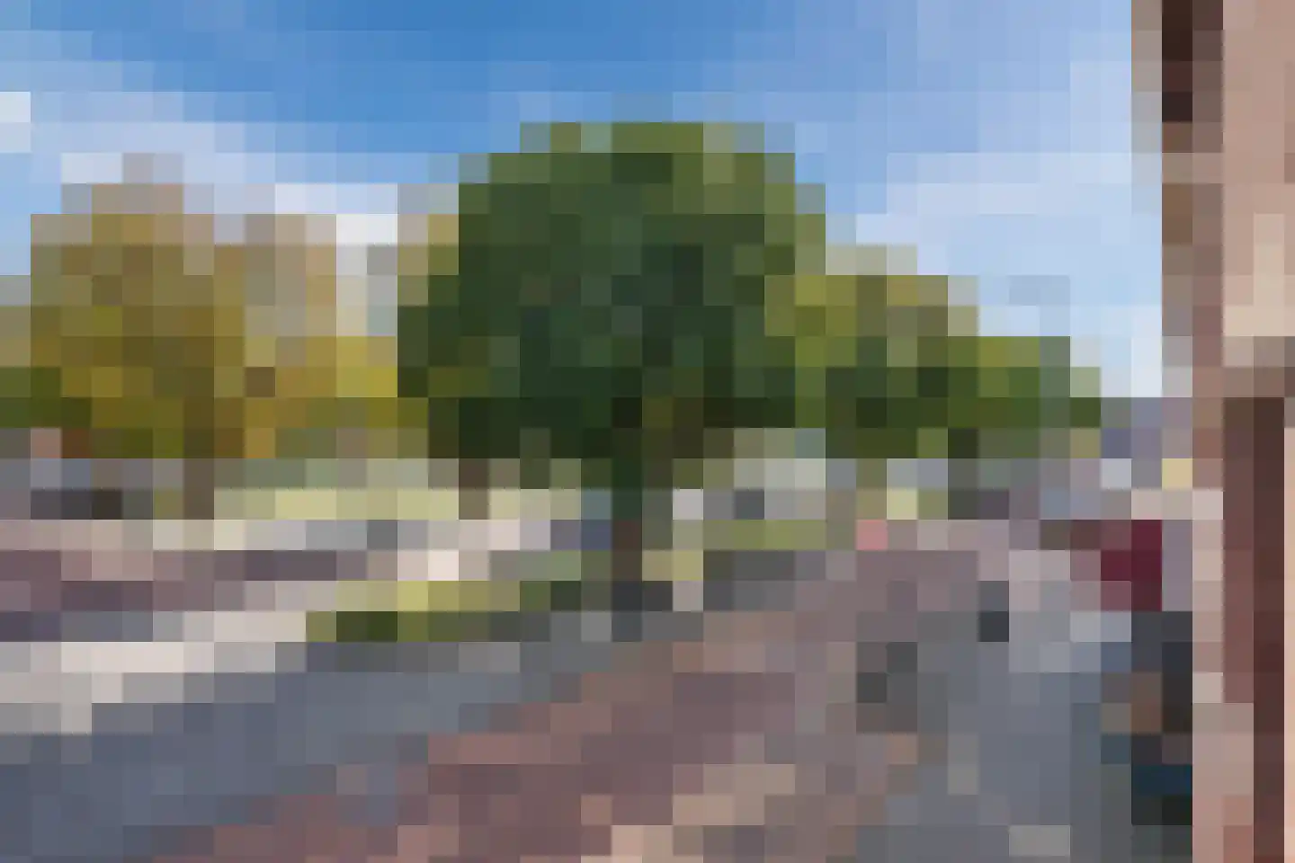 Kaapseplein 14 Den Haag thumbnail 43