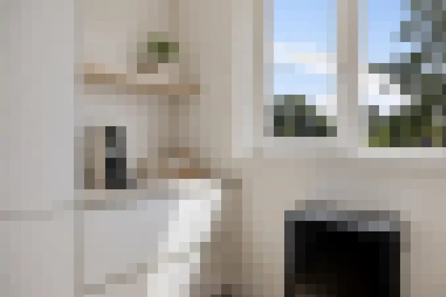 Kaapstander 10 Meppel thumbnail 13