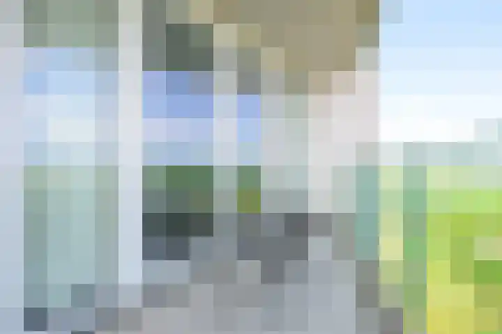 Kaapstander 110 Medemblik thumbnail 10