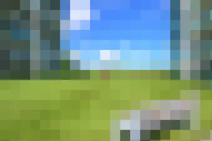 Kaapstander 110 Medemblik thumbnail 38