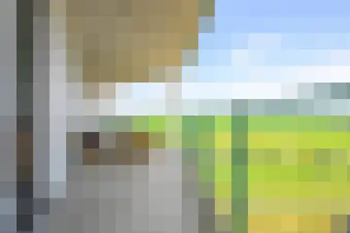 Kaapstander 110 Medemblik thumbnail 4