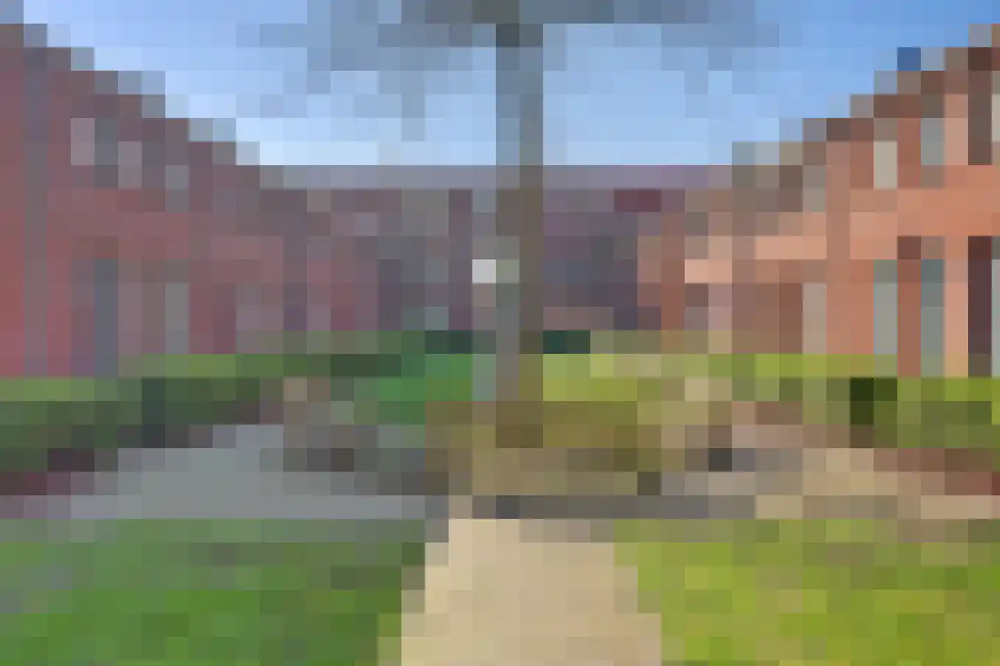 Kaapstander 20 Oud-Beijerland thumbnail 30