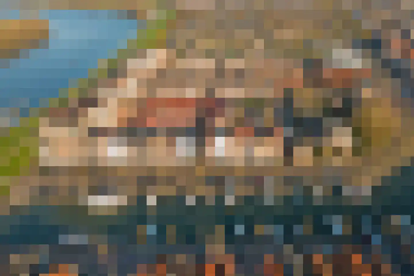 Kaapstander 20 Oud-Beijerland thumbnail 32