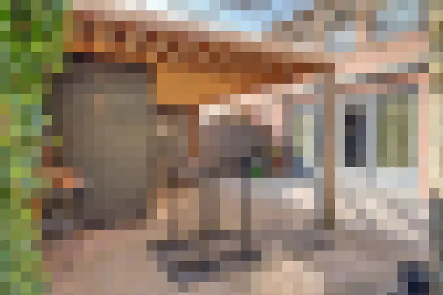 Kaapstander 20 Oud-Beijerland thumbnail 7