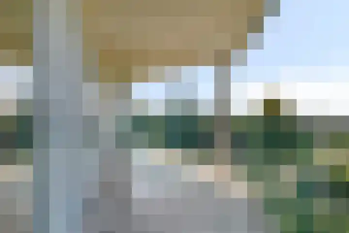 Kaapstander 208 Medemblik thumbnail 20