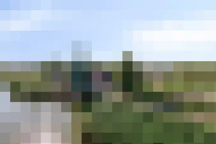 Kaapstander 208 Medemblik thumbnail 21