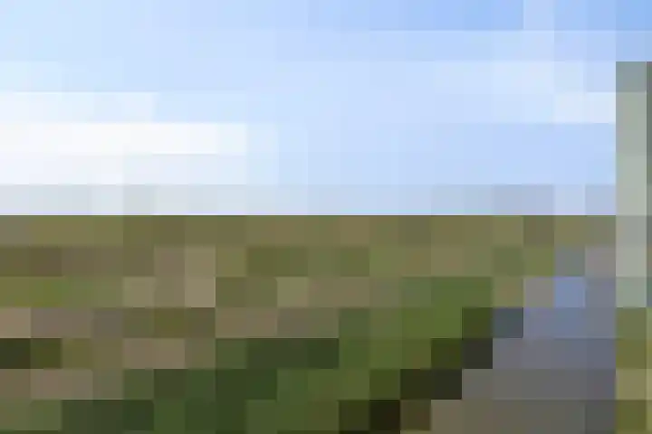 Kaapstander 208 Medemblik thumbnail 22