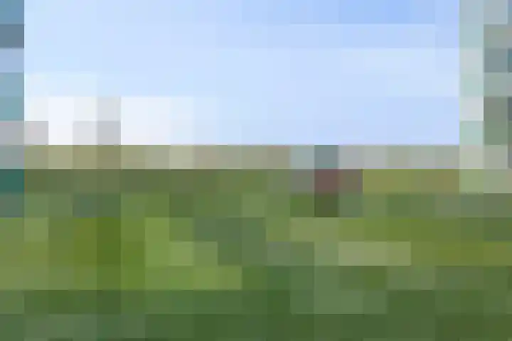 Kaapstander 208 Medemblik thumbnail 31
