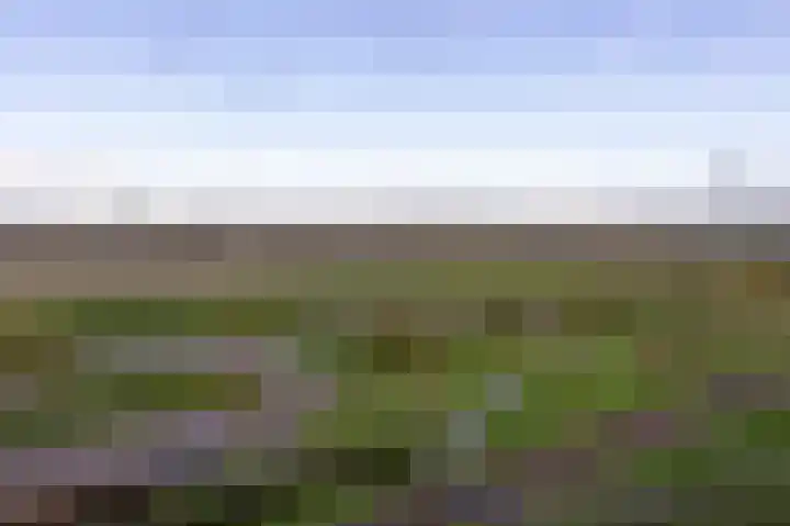Kaapstander 232 Medemblik thumbnail 30