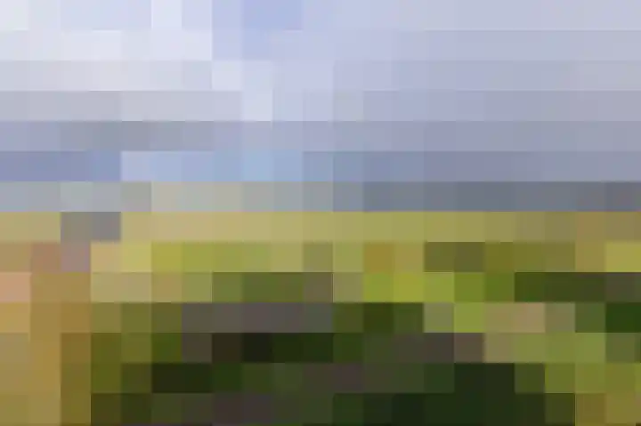 Kaapstander 232 Medemblik thumbnail 33