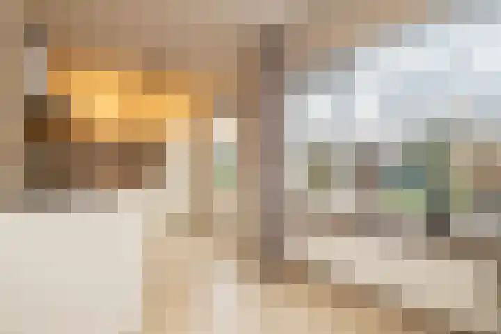 Kaapstander 26 Wateringen thumbnail 13