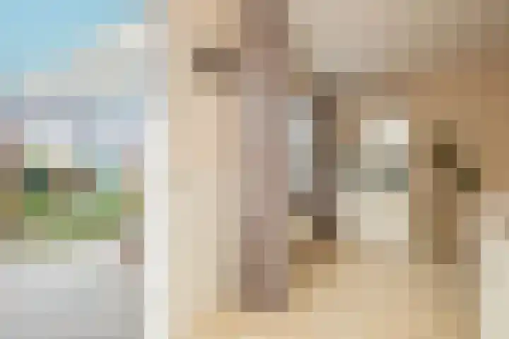 Kaapstander 26 Wateringen thumbnail 17