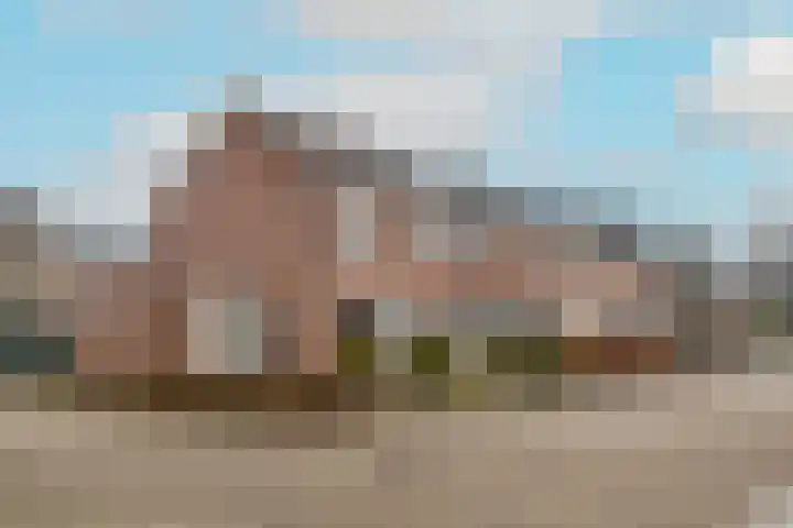Kaapstander 26 Wateringen thumbnail 33
