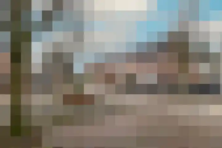 Kaapstander 26 Wateringen thumbnail 34