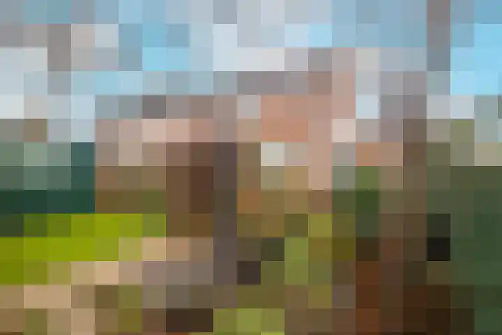 Kaapstander 26 Wateringen thumbnail 35