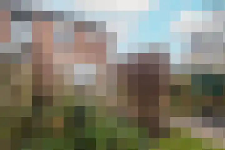Kaapstander 26 Wateringen thumbnail 39