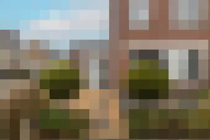 Kaapstander 26 Wateringen thumbnail 5
