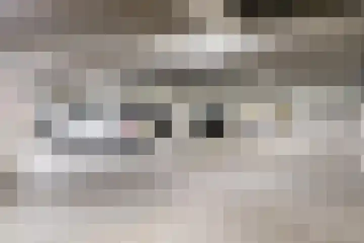 Kaapstander 262 Nijmegen thumbnail 31