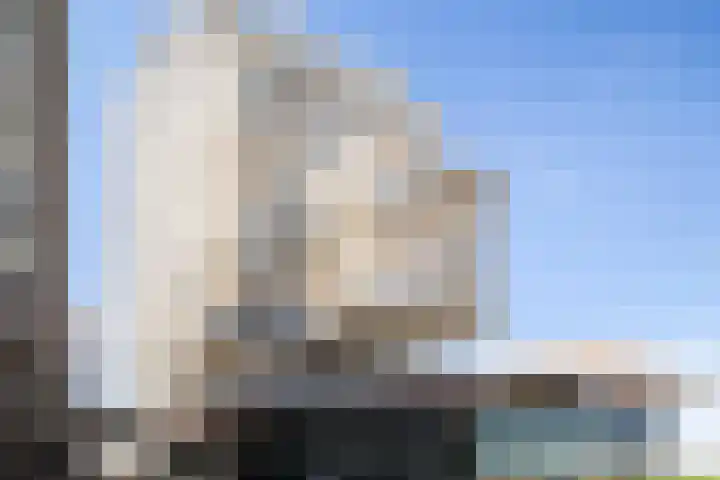 Kaapstander 262 Nijmegen thumbnail 32
