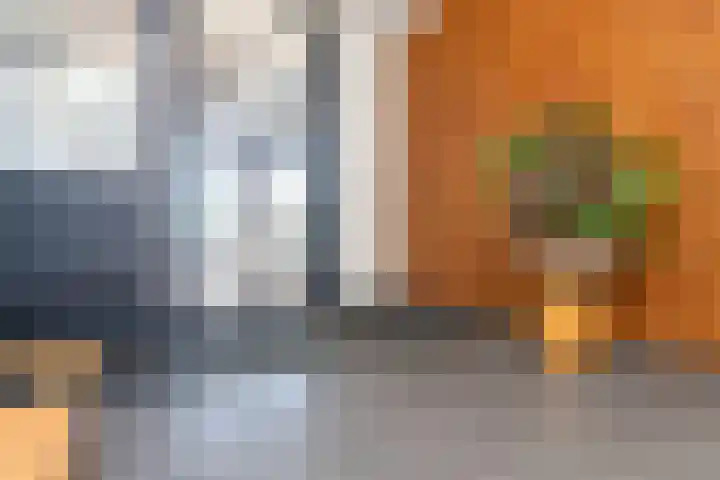 Kaapstander 262 Nijmegen thumbnail 6