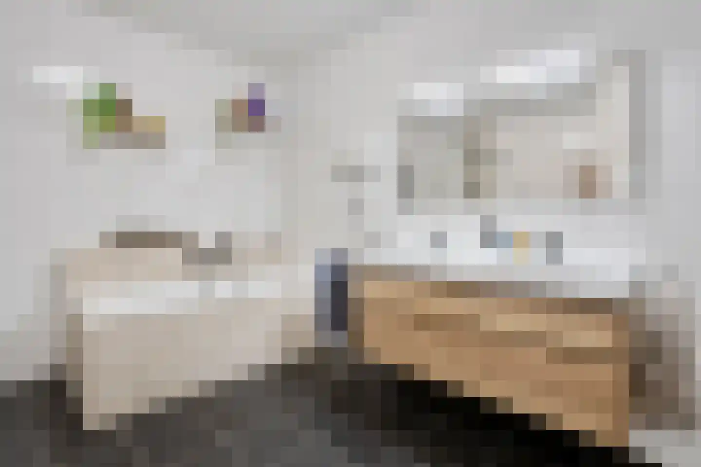 Kaapstander 264 Nijmegen thumbnail 35