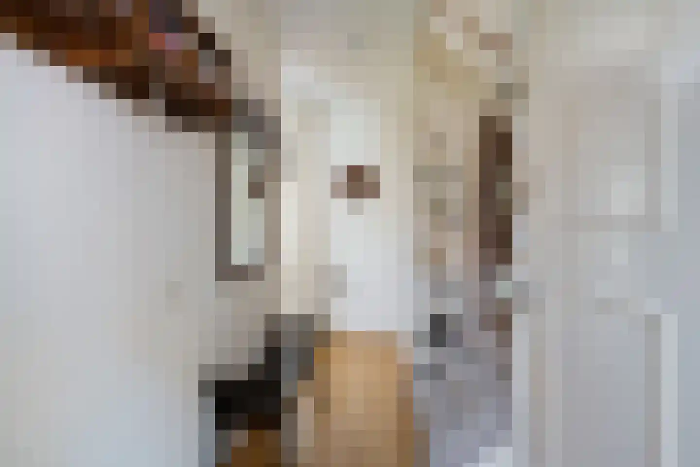 Kaapstander 7 Oud-Beijerland thumbnail 20