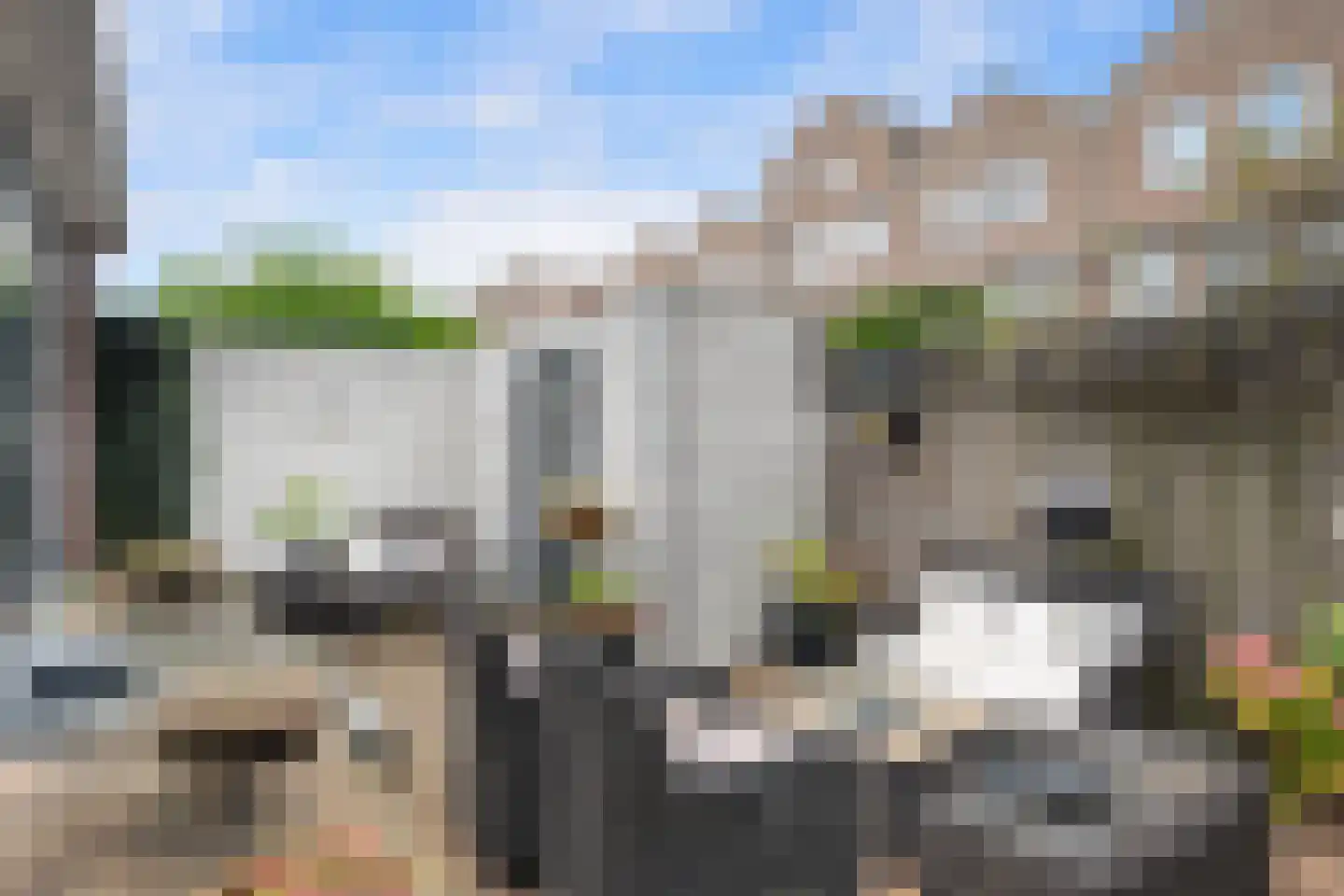 Kaapstander 7 Oud-Beijerland thumbnail 28