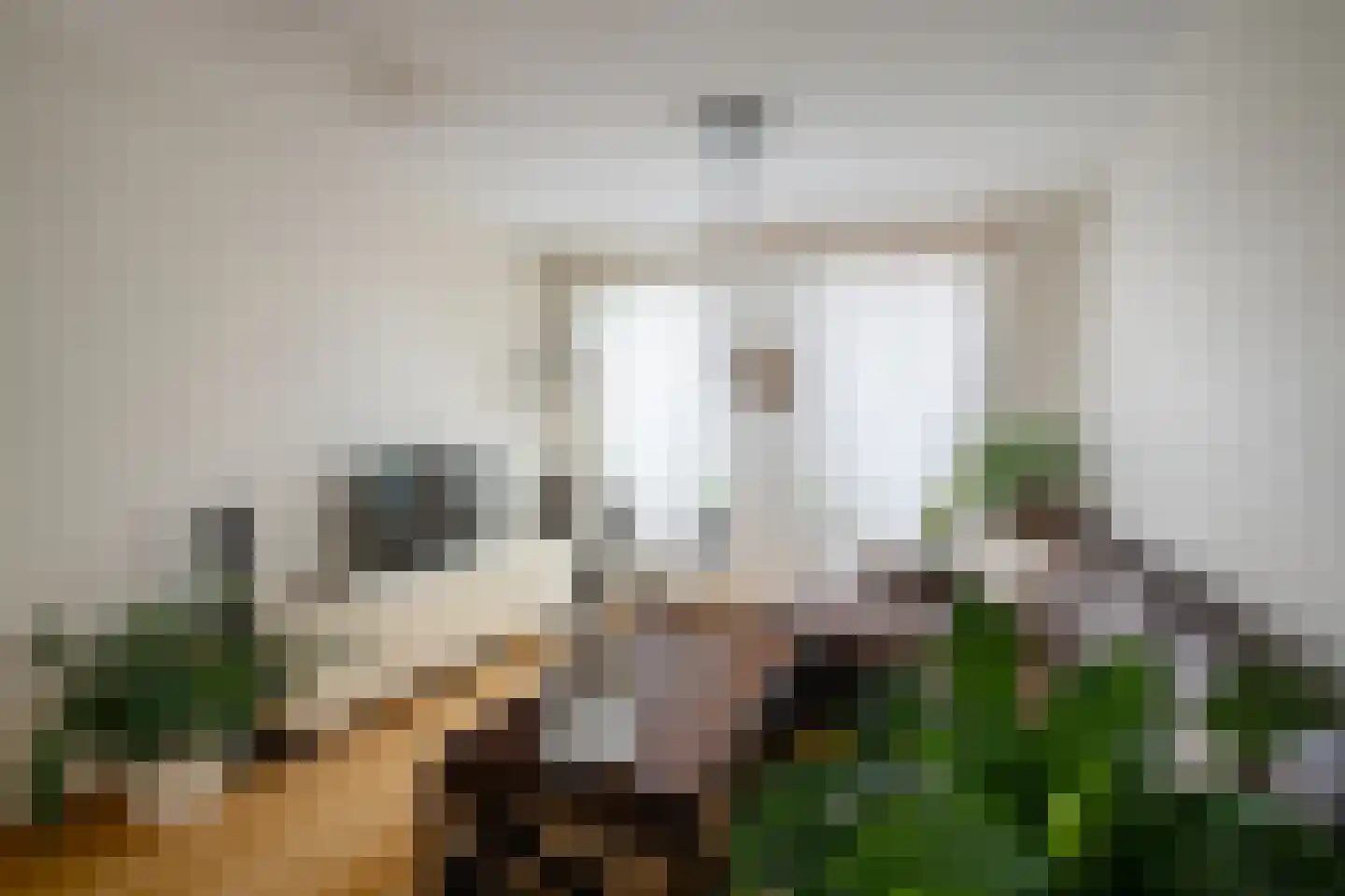 Kaapstander 7 Oud-Beijerland thumbnail 7