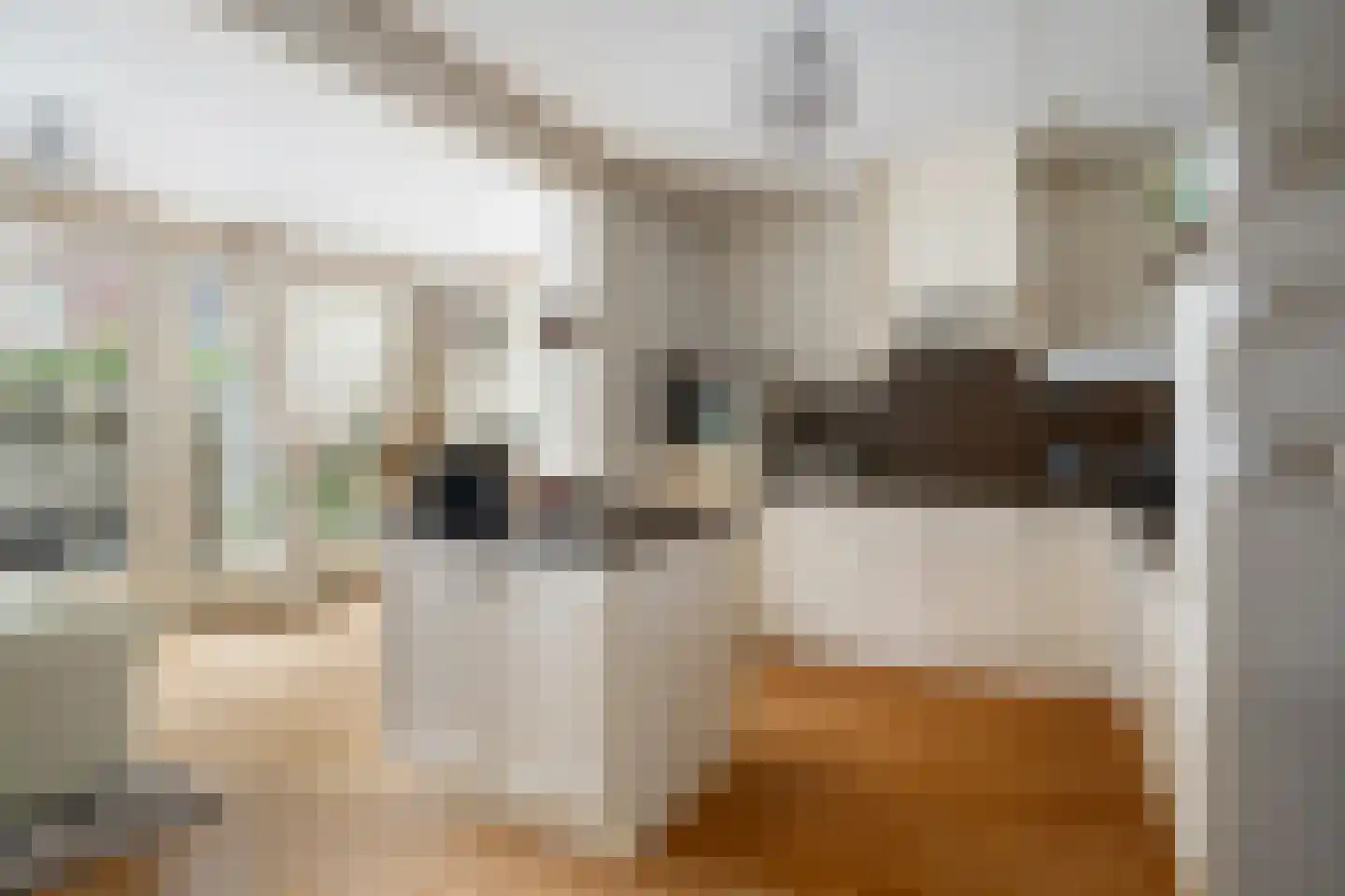 Kaapstander 7 Oud-Beijerland thumbnail 8