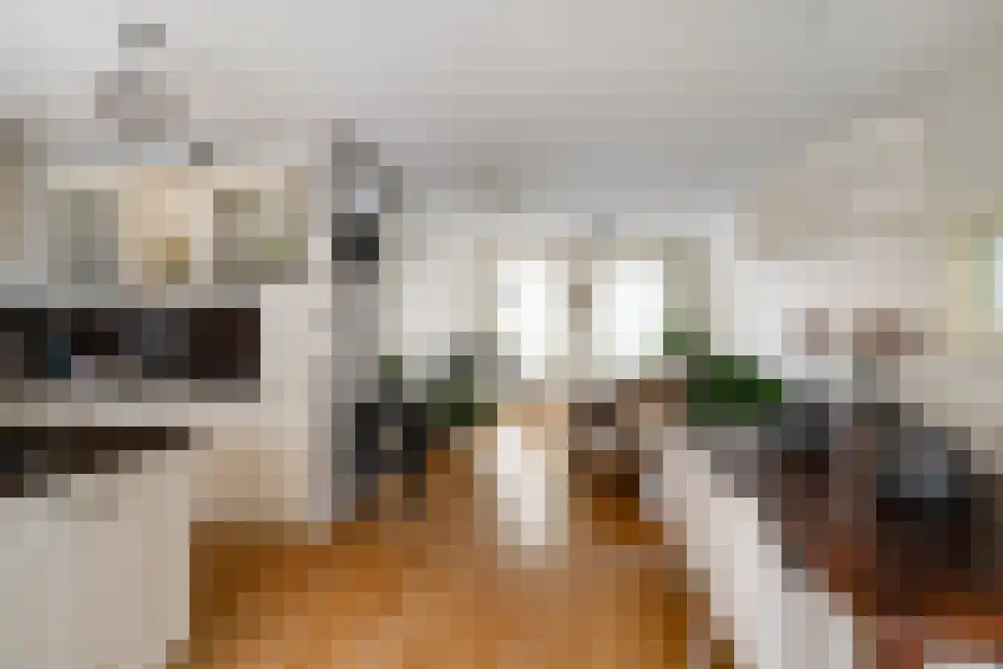 Kaapstander 7 Oud-Beijerland thumbnail 9