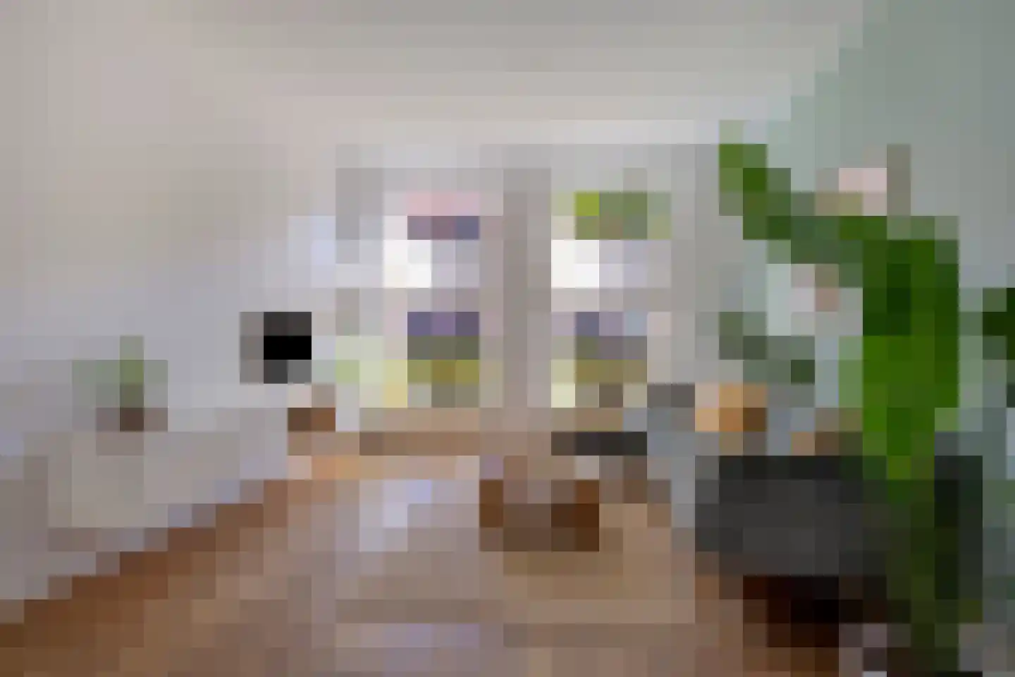 Kaapstander 8 Oud-Beijerland thumbnail 10