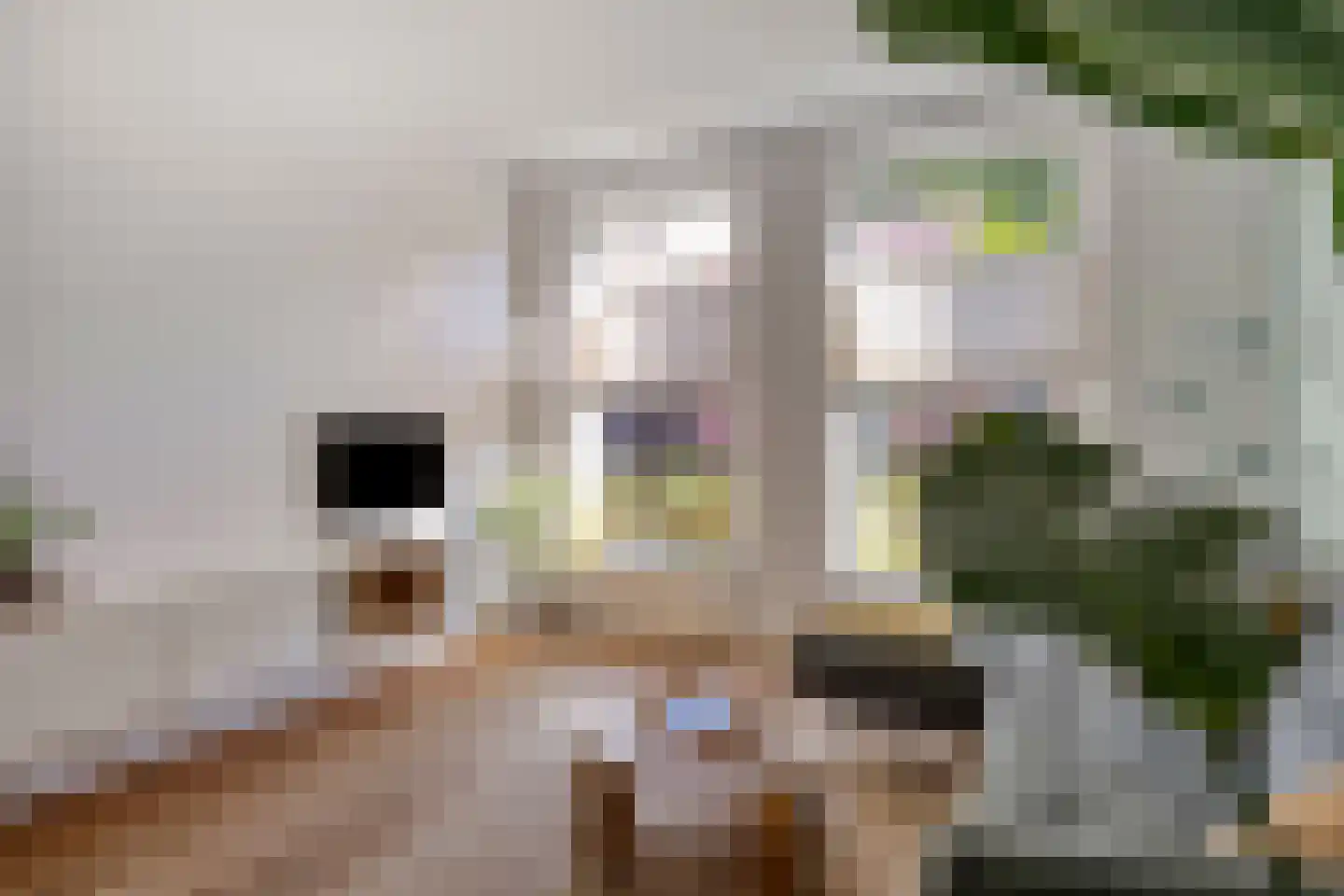 Kaapstander 8 Oud-Beijerland thumbnail 11