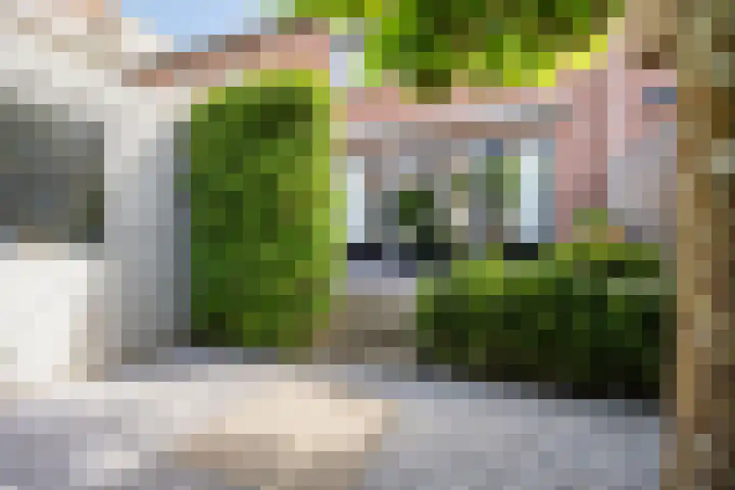 Kaapstander 8 Oud-Beijerland thumbnail 31