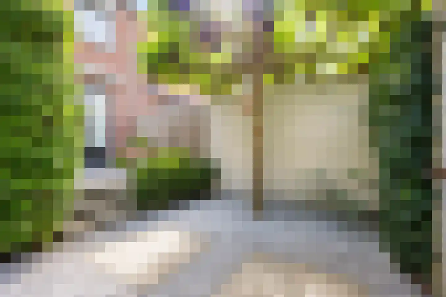 Kaapstander 8 Oud-Beijerland thumbnail 33