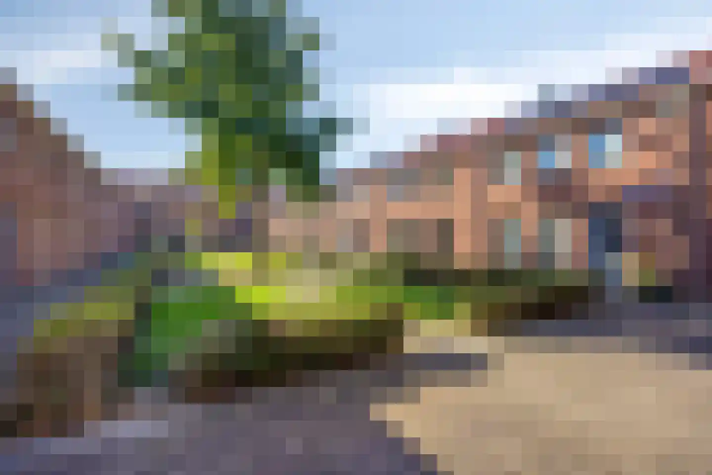 Kaapstander 8 Oud-Beijerland thumbnail 36