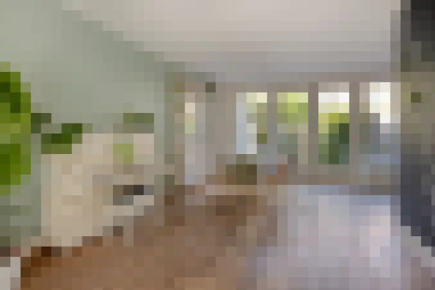 Kaapstander 8 Oud-Beijerland thumbnail 9