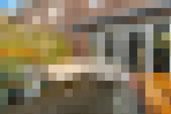 Kaapstanderstraat 6 Haarlem thumbnail 22