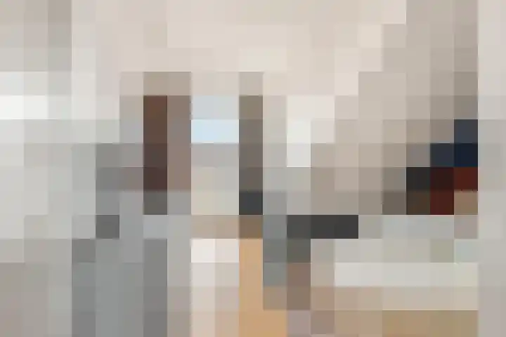Kaapstanderstraat 6 Haarlem thumbnail 33