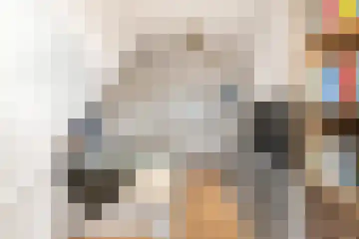 Kaapstanderstraat 6 Haarlem thumbnail 34