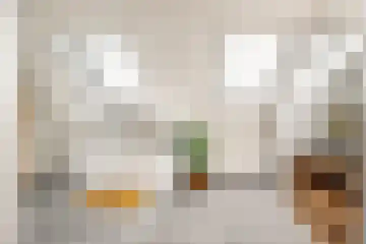 Kaapstanderstraat 6 Haarlem thumbnail 35