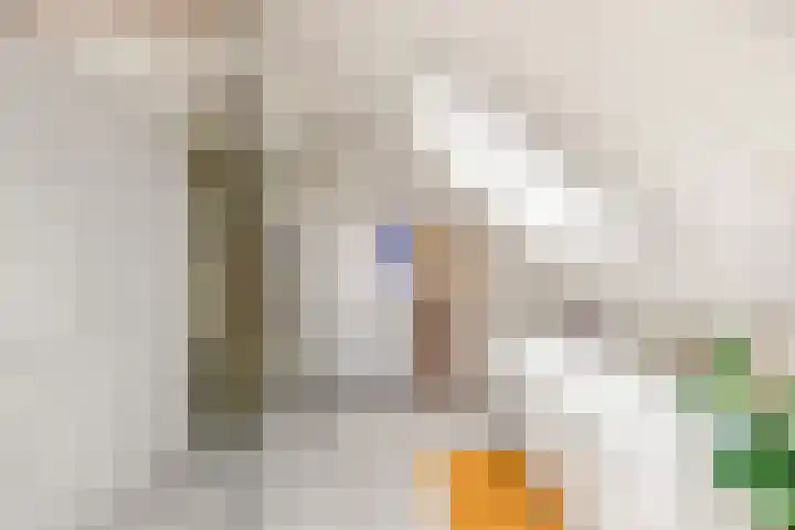 Kaapstanderstraat 6 Haarlem thumbnail 37