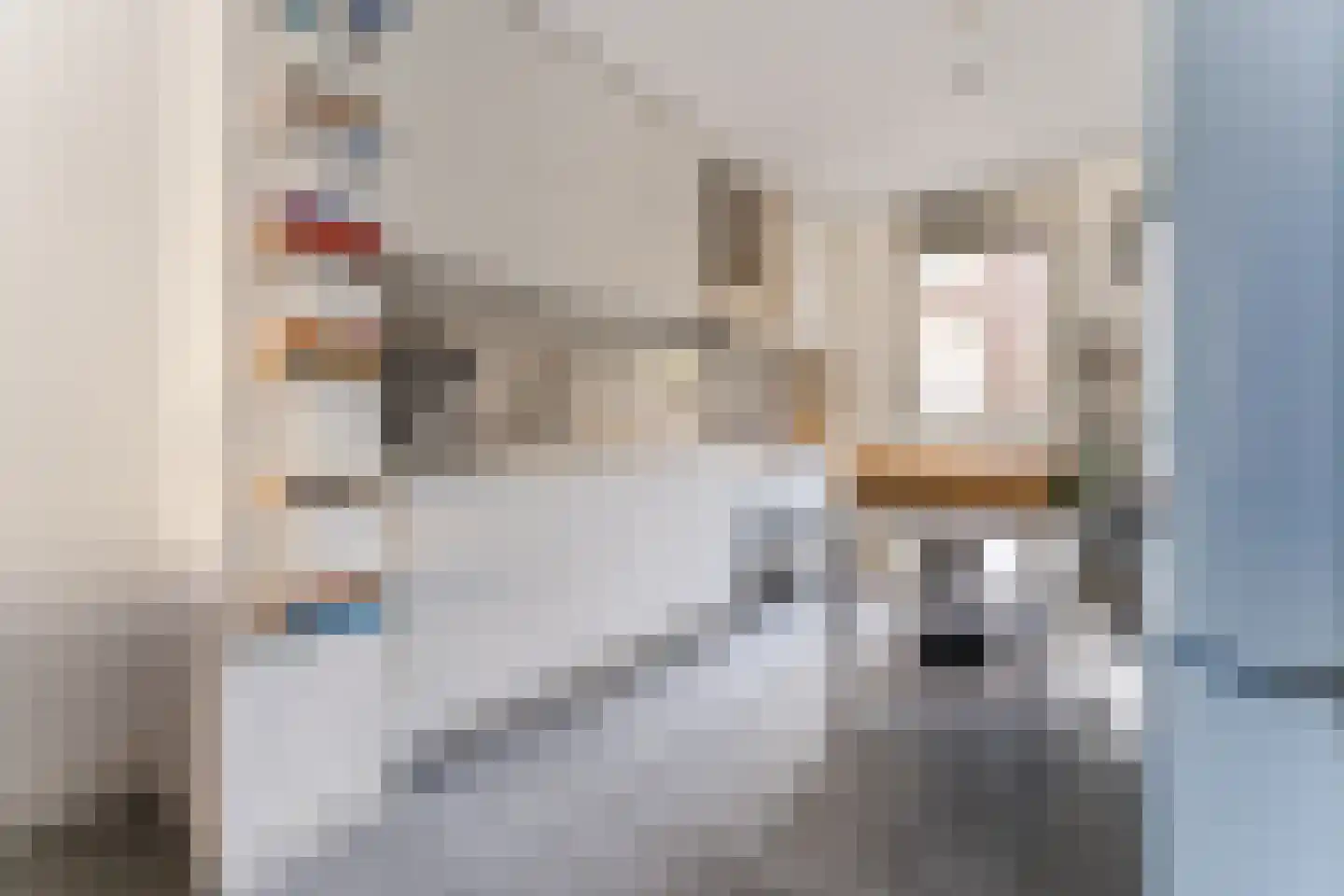 Kaapstanderstraat 9 Haarlem thumbnail 12
