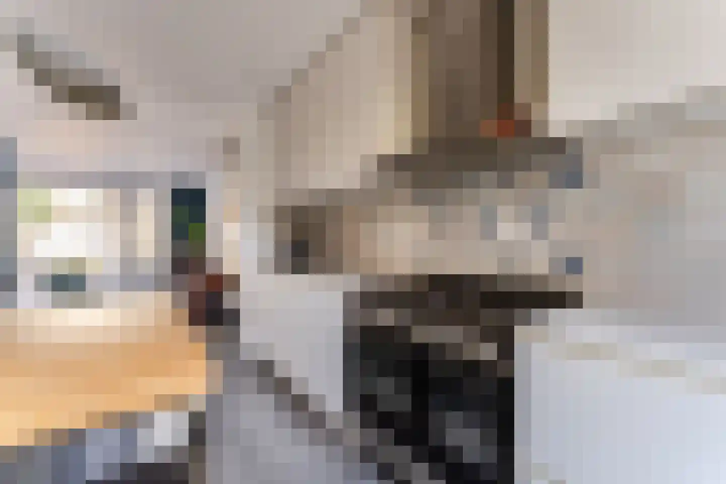 Kaapstanderstraat 9 Haarlem thumbnail 17