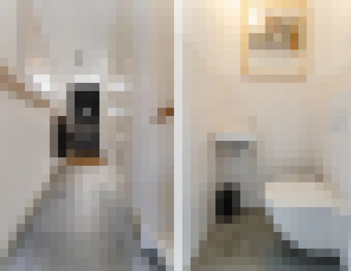 Kaapstanderstraat 9 Haarlem thumbnail 18