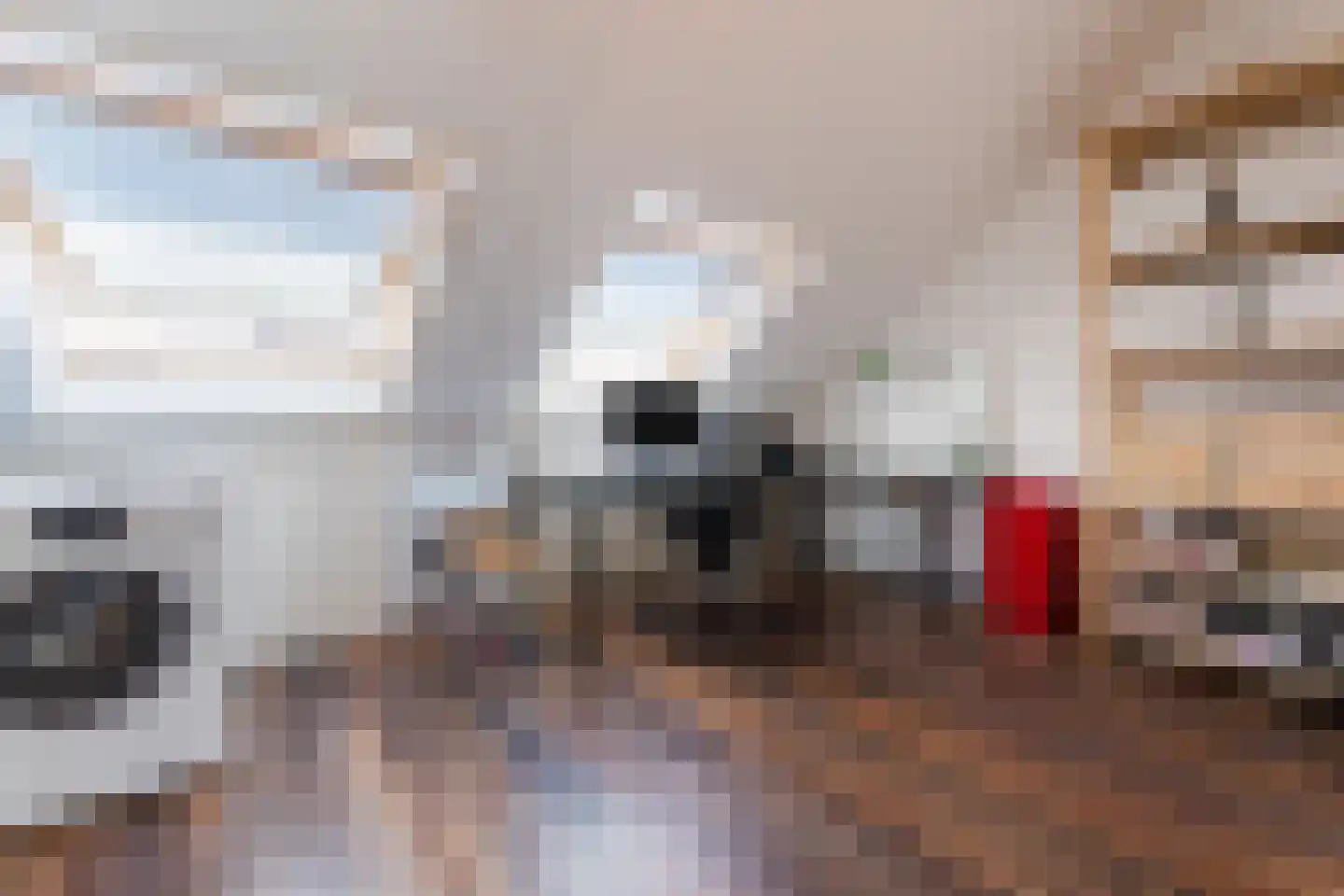 Kaapstanderstraat 9 Haarlem thumbnail 38