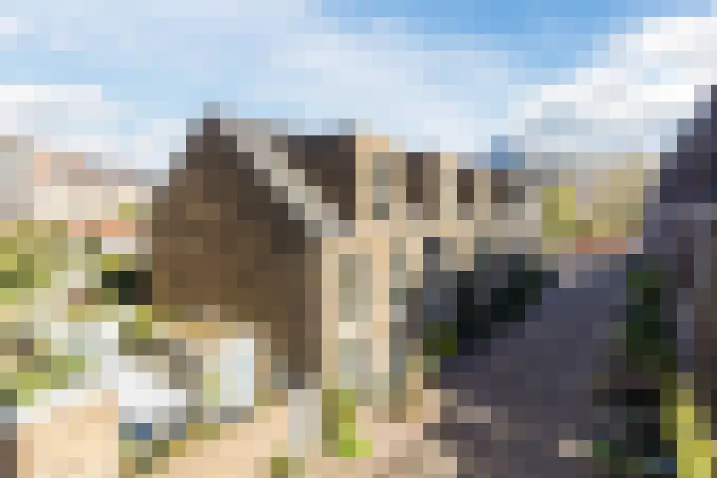 Kaapstanderstraat 9 Haarlem thumbnail 4